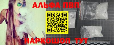 мяу мяу мука Аргун