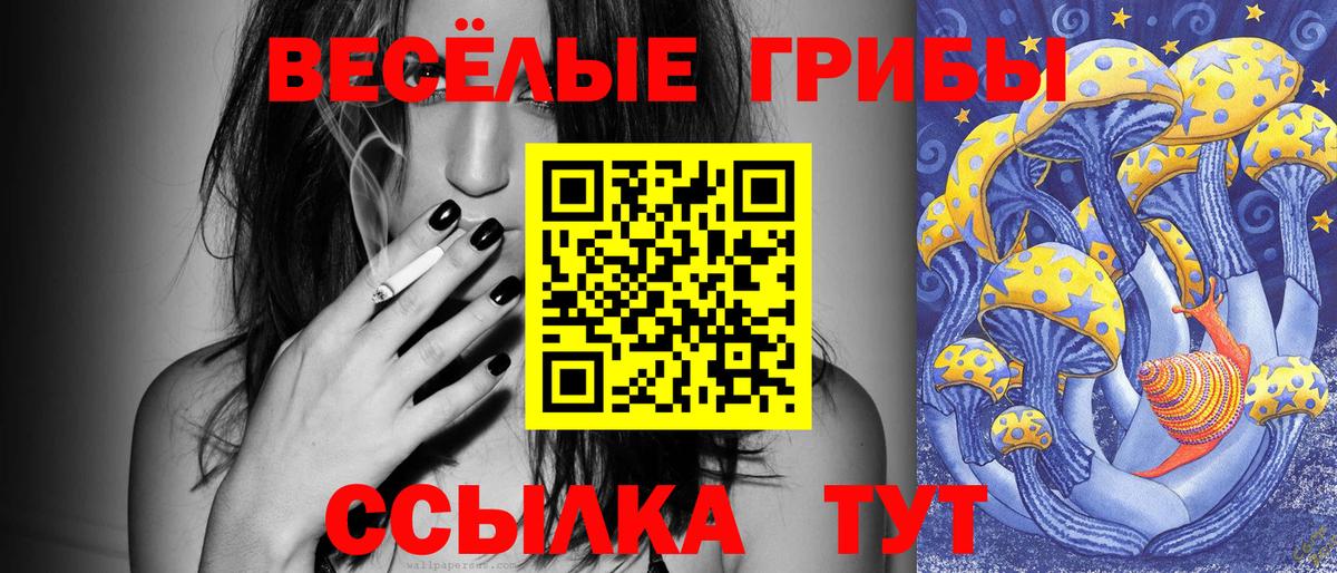 Галлюциногенные грибы Psilocybe  Иркутск  Галлюциногенные грибы Magic Shrooms 