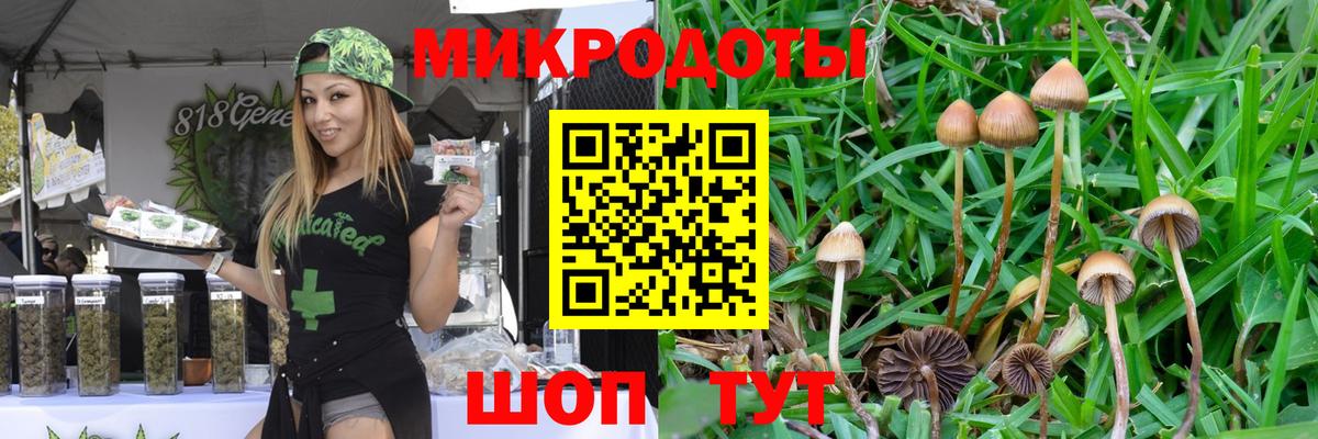 Галлюциногенные грибы Psilocybine cubensis  купить наркотик  Иркутск  Галлюциногенные грибы MAGIC MUSHROOMS  Вход с VPN 